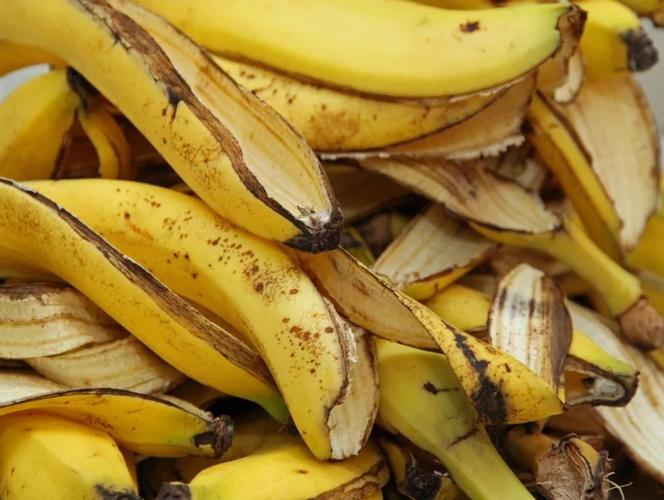 香蕉皮别扔！变废为宝的5种实用方法 从肥料到生物质驱虫剂